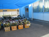 Nogi Agricultural Products Direct Sales Center