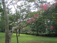 Hachimanyama Park