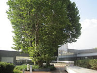 Le Musée départemental des beaux-arts de Tochigi