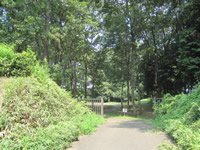 Tobiyama Castle Shiseki Park
