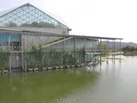 L’Aquarium de Nakagawa