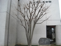 Le Muséum des chars festifs de Tochigi