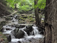 Ryuka no Taki Falls