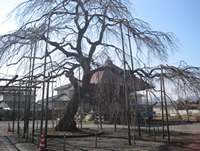 Chofukuji Temple