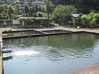 Okawado Fishing Hole