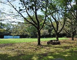 Kashinomori Park