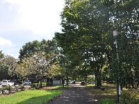 Kashinomori Park