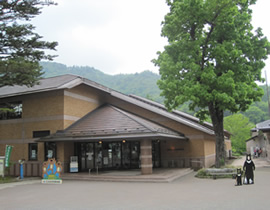 Le Musée de la science naturelle de Nikko