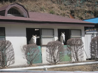 Nikko Equestrian Club