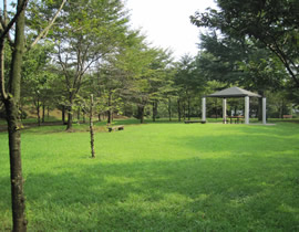 Le parc Hachimanyama