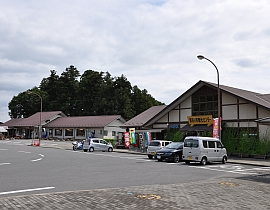 Bato Road Station