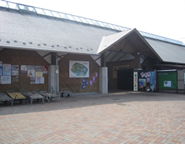 Kaboku Center