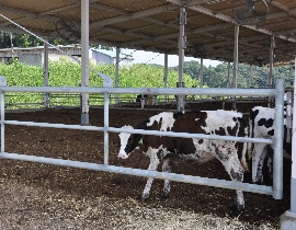Tochigi Dairy Farmers Cooperative's Fureai Ranch
