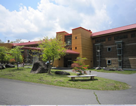 Hôtel Chûzenji-Kanaya
