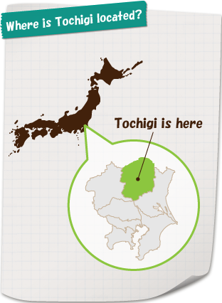 Where is Tochigi located?